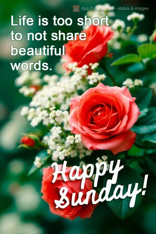 A vida é curta demais para guardar palavras bonitas. Feliz Domingo!