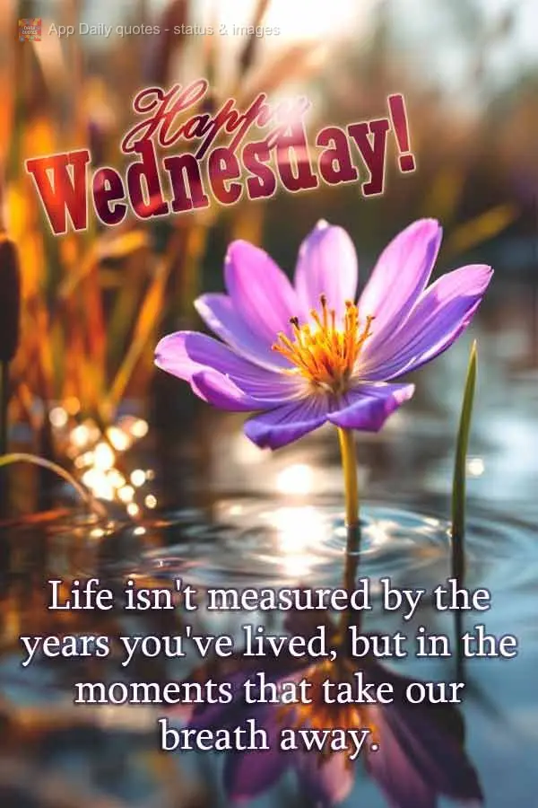 A vida não se mede pelos anos que vivemos, mas pelos momentos que nos tiram o fôlego. Feliz Quarta-feira!
