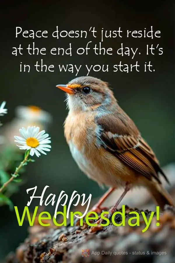 A paz não está no fim do dia. Está na forma como você começa. Feliz Quarta-feira!