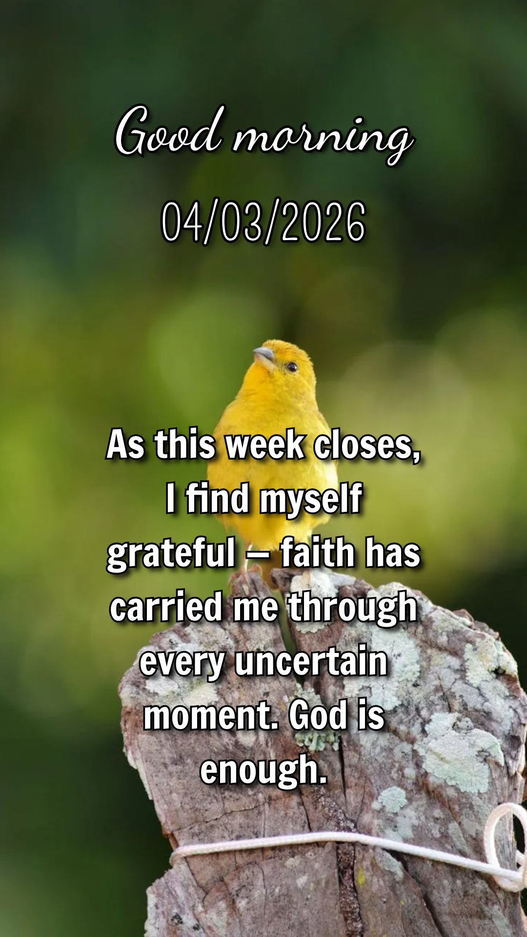 Senhor, que bom chegar ao fim desta semana sabendo que o Senhor esteve comigo em cada passo. Obrigado por tudo.