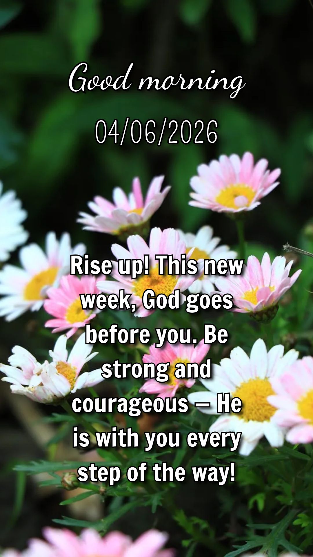 Você não está sozinho nessa semana. Deus vai na sua frente, preparando cada passo. Confie e siga em frente!