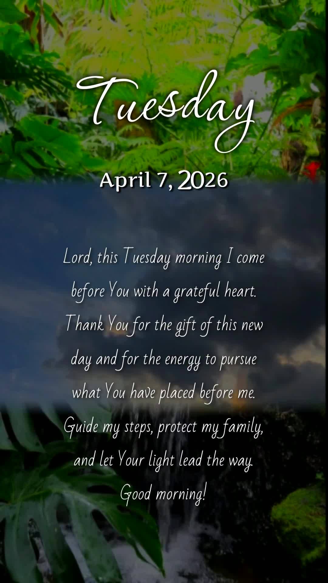 Deus, hoje é terça-feira, meu pai, e antes de dar mais um passo eu paro para te agradecer por este novo dia. Renova minhas forças, acende em mim o ent...