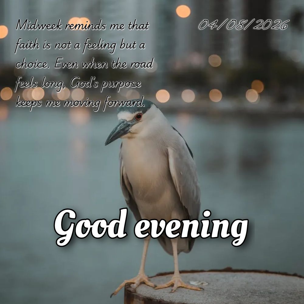 Senhor, nesta quarta-feira, renova minhas forças e guia cada passo meu. Que eu sinta Tua presença em tudo que fizer hoje. Amém.