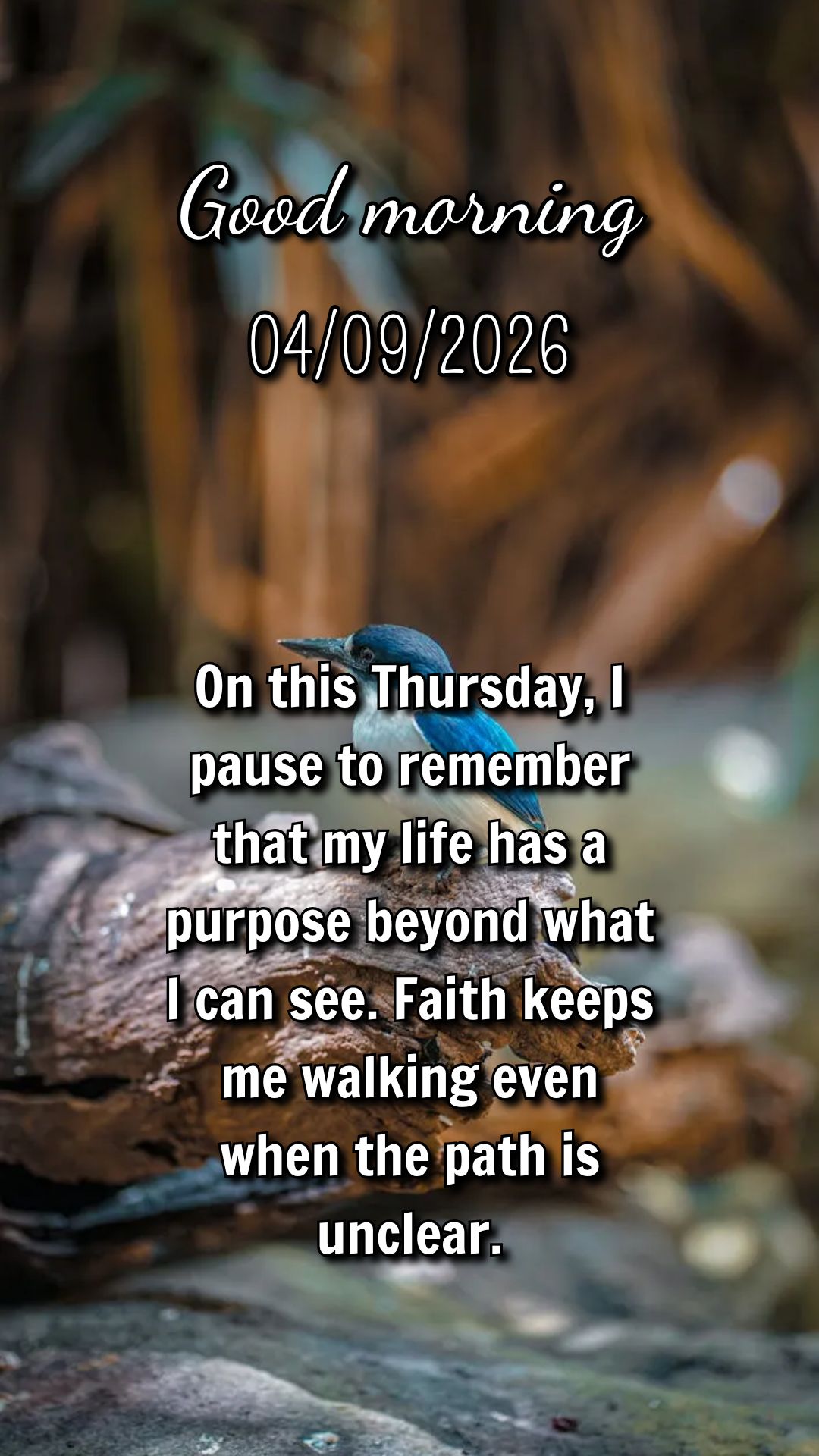 Deus tem planos lindos para você. Não desista! A quinta-feira de hoje é mais um passo rumo ao futuro que Ele preparou.