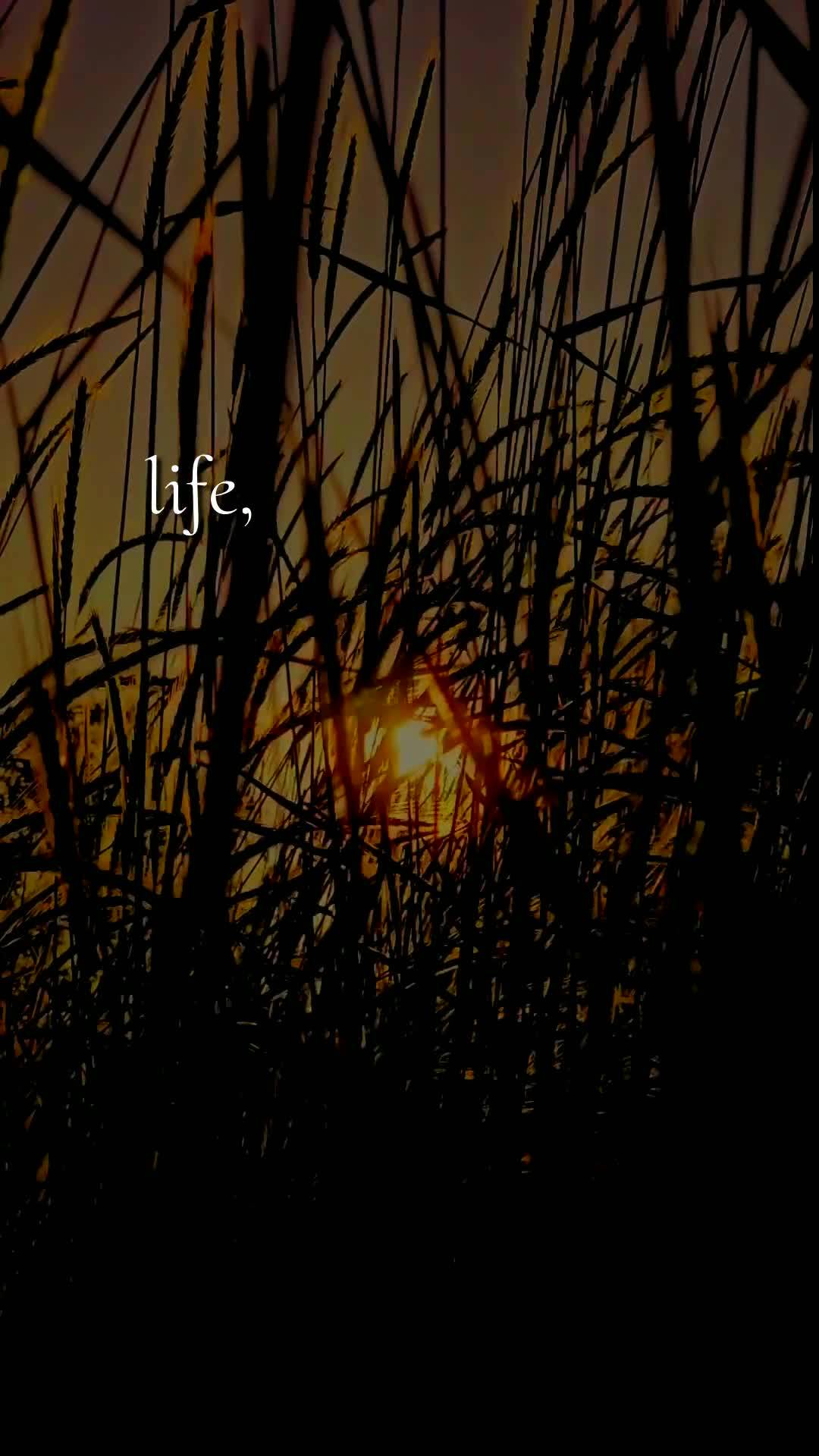 Bom dia, Jesus, meu Mestre e Senhor. Hoje é sexta-feira, 10 de abril de 2026, e meu coração se enche de gratidão por mais uma semana vivida sob o Teu...