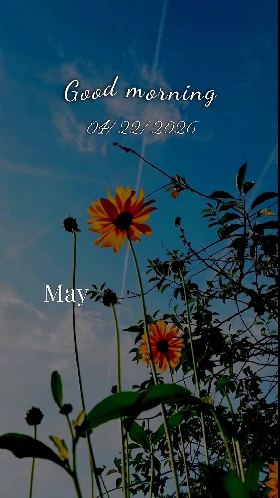 Bom dia, Jesus, meu Mestre e Senhor. Mais uma manhã começa, e nesta quarta-feira, 22 de abril de 2026, eu Te ofereço todas as minhas ações deste dia...