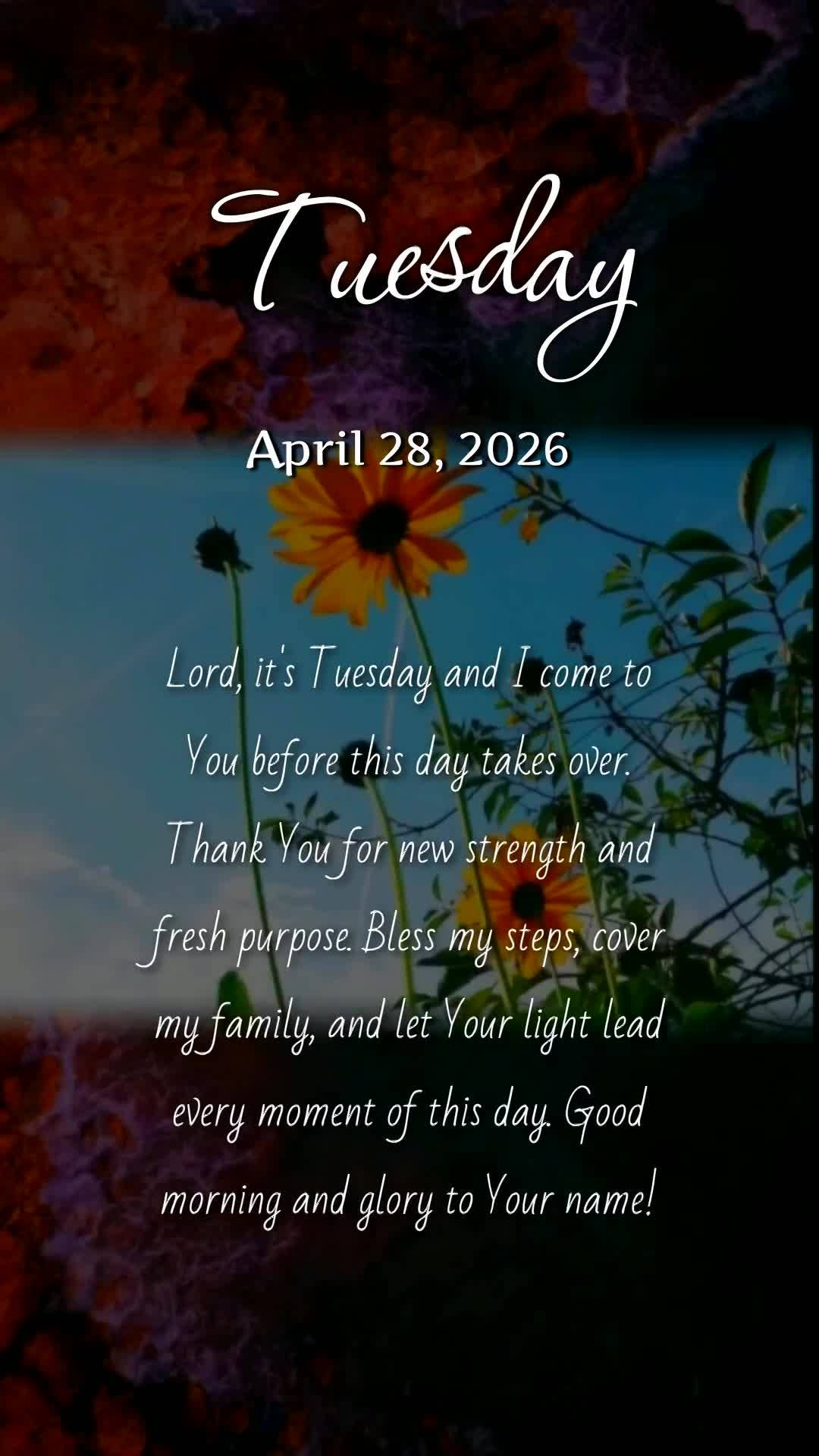 Deus, hoje é terça-feira, meu pai, e antes de dar qualquer passo neste dia quero te agradecer. Obrigado por renovar minhas forças e me despertar com p...