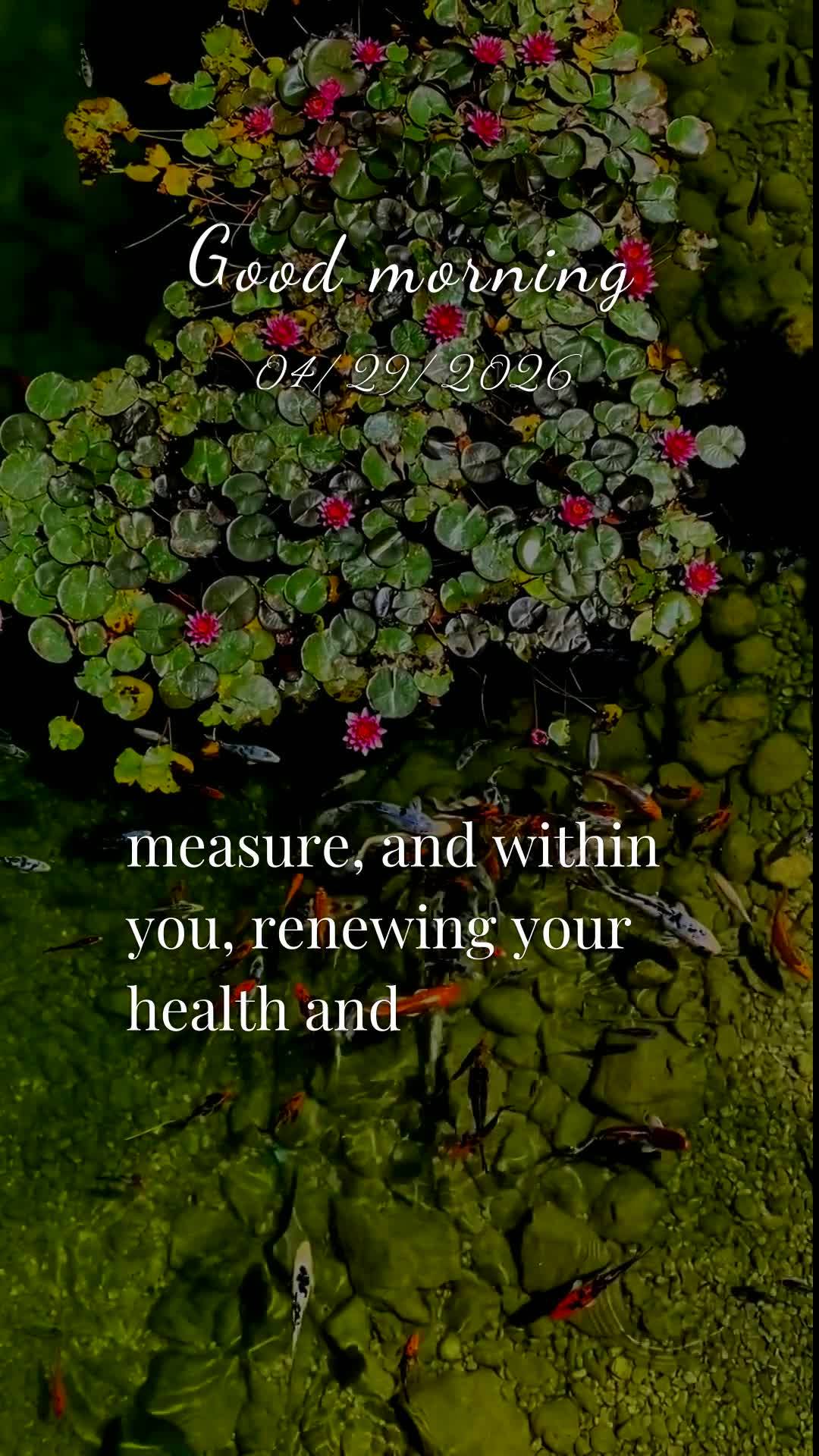 Bom dia! Nesta quarta-feira, 29 de Abril de 2026, enquanto Abril chega ao fim e um novo mês se aproxima, eu proclamo sobre a tua vida uma bênção pode...