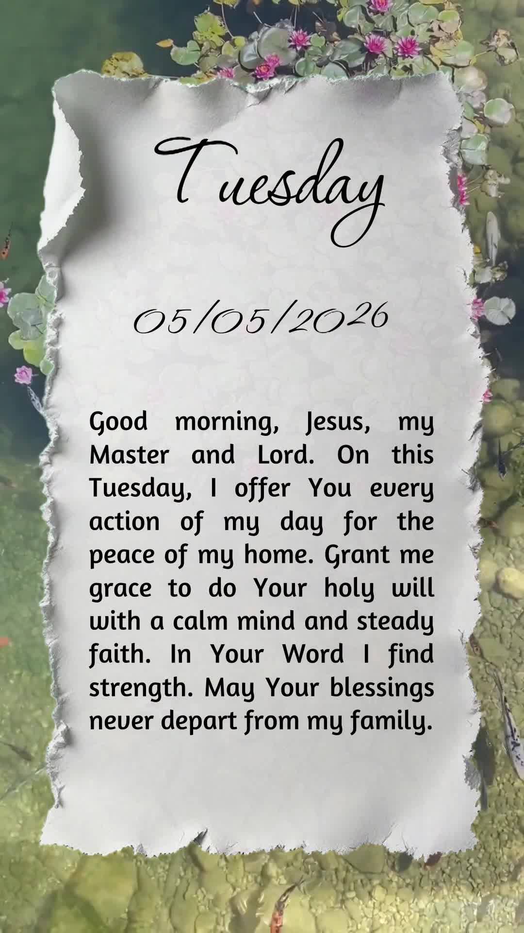Bom dia, Jesus, meu Mestre e Senhor. Nesta terça-feira, ofereço-Te todas as minhas ações para a paz do meu lar. Concede-me cumprir Tua santa vontade,...