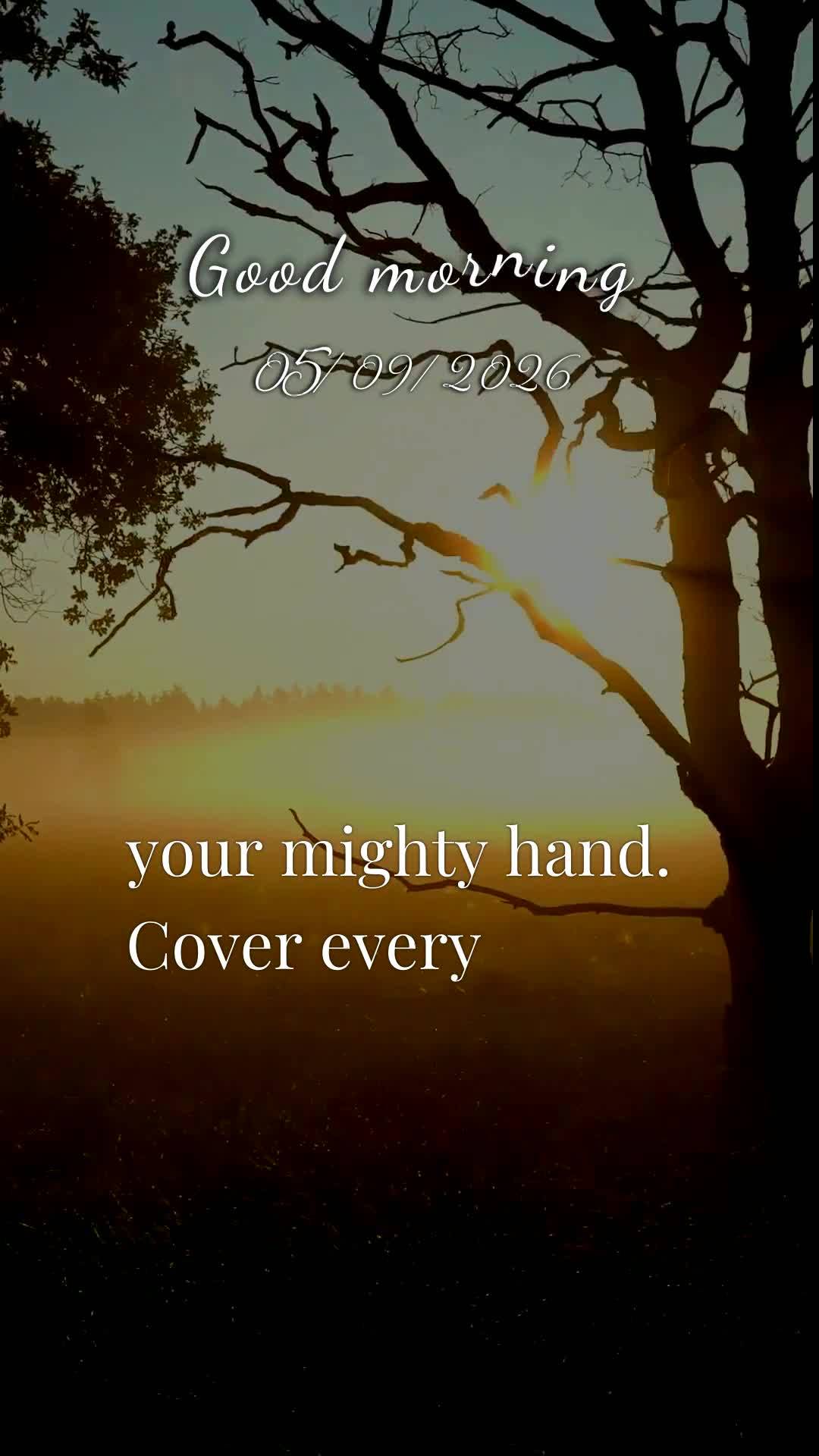 Meu bom dia especial neste sábado é para você, pessoa querida que Deus colocou no meu coração. Que o Senhor te abençoe, te guarde e te guie em cada...