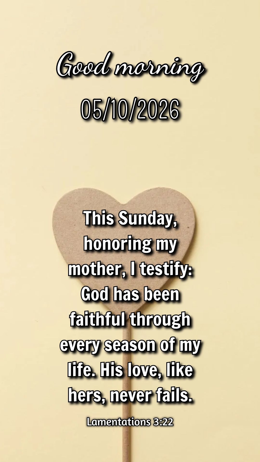 Neste domingo, dia do Senhor, entrego minhas incertezas a Deus e descanso em Sua paz. Ele cuida de tudo, inclusive das mães que tanto amamos. Filipenses...