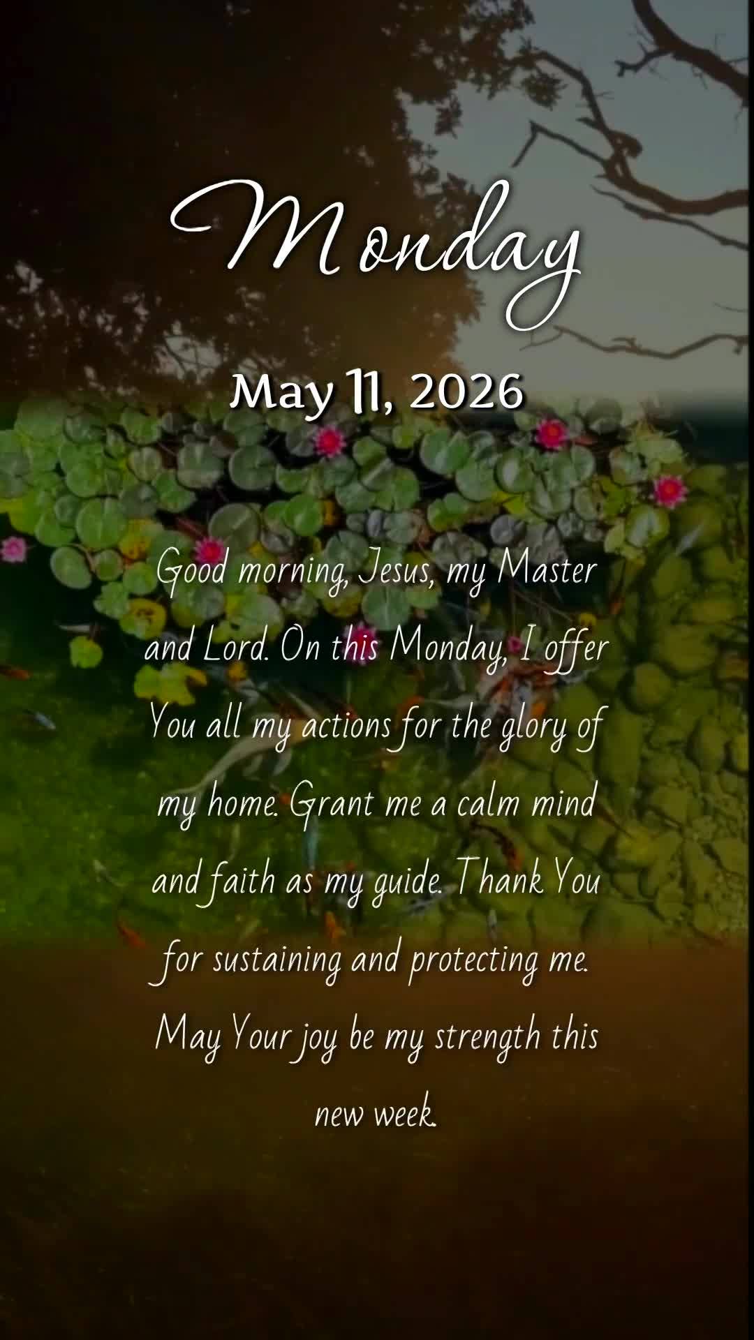 Bom dia, Jesus, meu Mestre e Senhor. Nesta segunda-feira, ofereço-Te todas as minhas ações para a paz do meu lar. Concede-me cumprir Tua santa vontade...