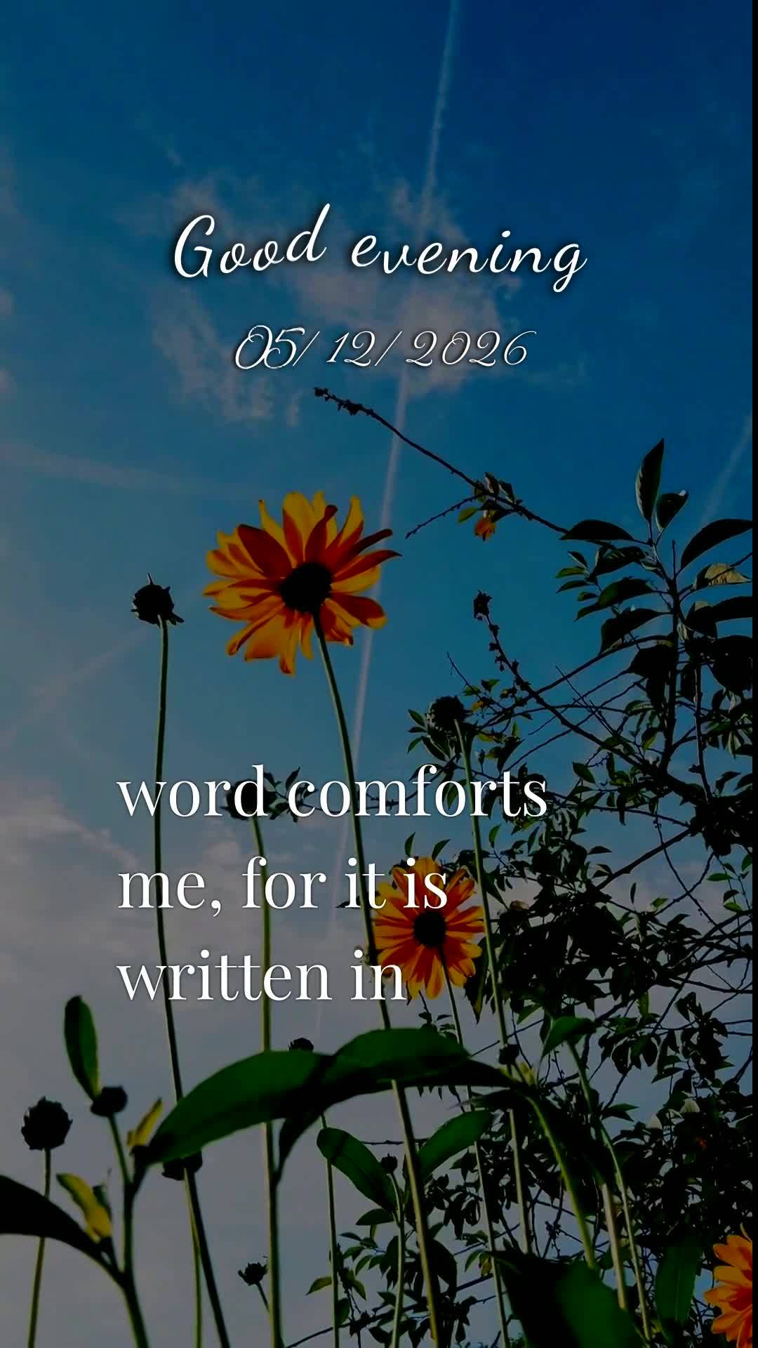 Boa noite, Senhor. Obrigado, meu Deus, por mais uma terça-feira vencida. Tu me livraste de todo mal e me concedeste saúde e força para vencer mais um ...