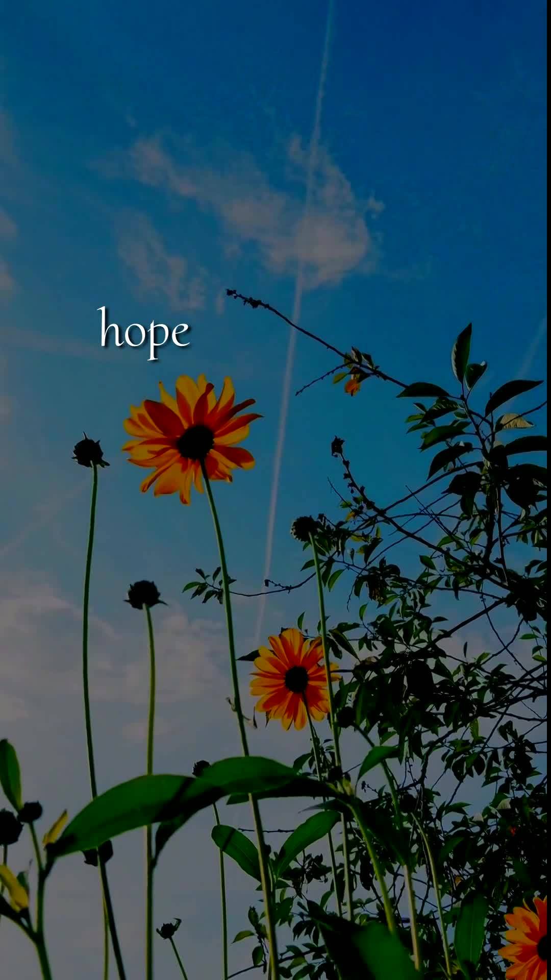 Deus, hoje é terça-feira, meu Pai, dia doze de maio de dois mil e vinte e seis, e antes que esse dia avance, eu paro para te dizer: bom dia, Senhor. Ob...