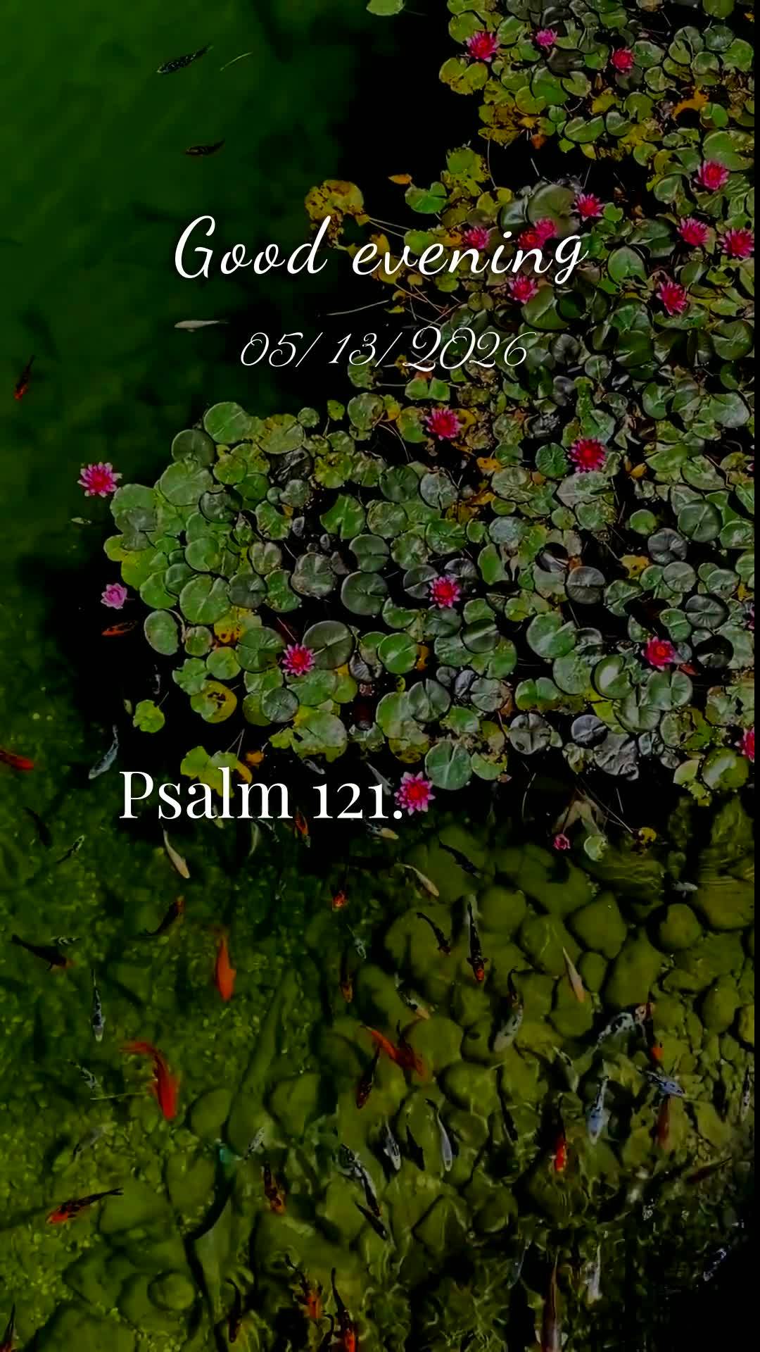 Boa noite, Senhor. Obrigado, Deus, por mais uma quarta-feira vencida. Tu me livraste de todo mal e me concedeste saúde e força para vencer mais um dia....