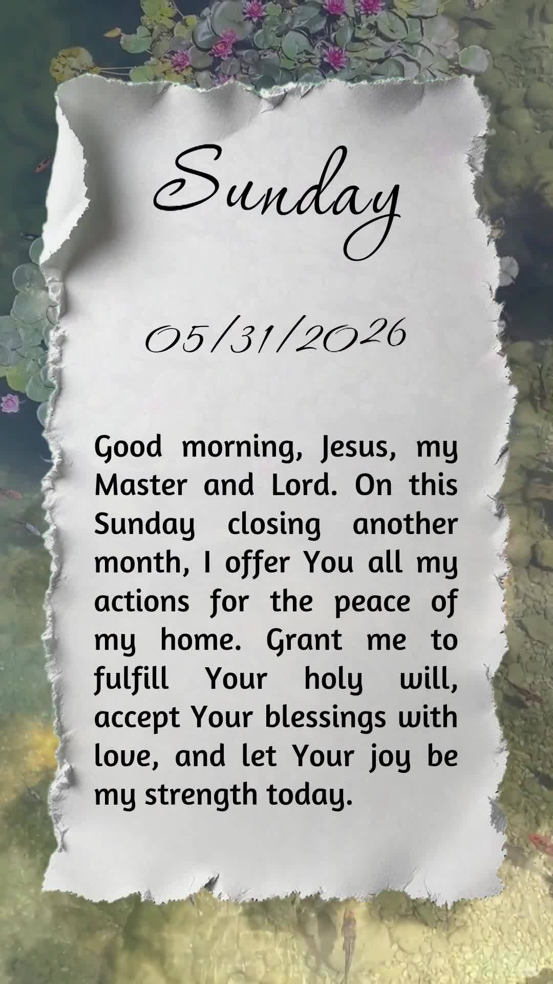 Bom dia, Jesus, meu Mestre e Senhor. Neste domingo que encerra mais um mês, ofereço-Te minhas ações pela paz do meu lar. Concede-me cumprir Tua santa...