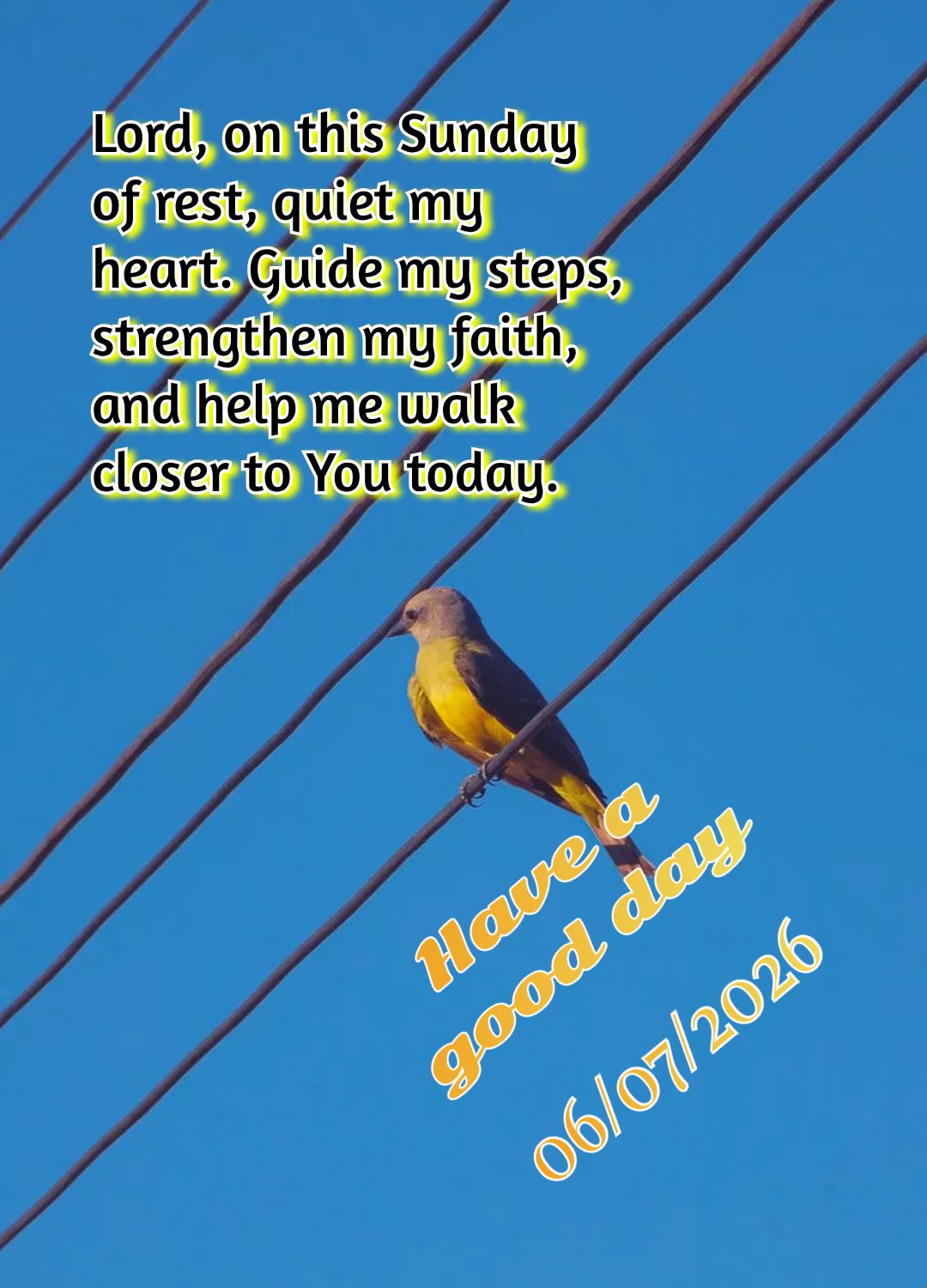 Neste domingo, abra seu coração ao próximo. Servir com amor é a forma mais bela de adorar a Deus. Compaixão transforma vidas. Tenha um bom dia Madre...