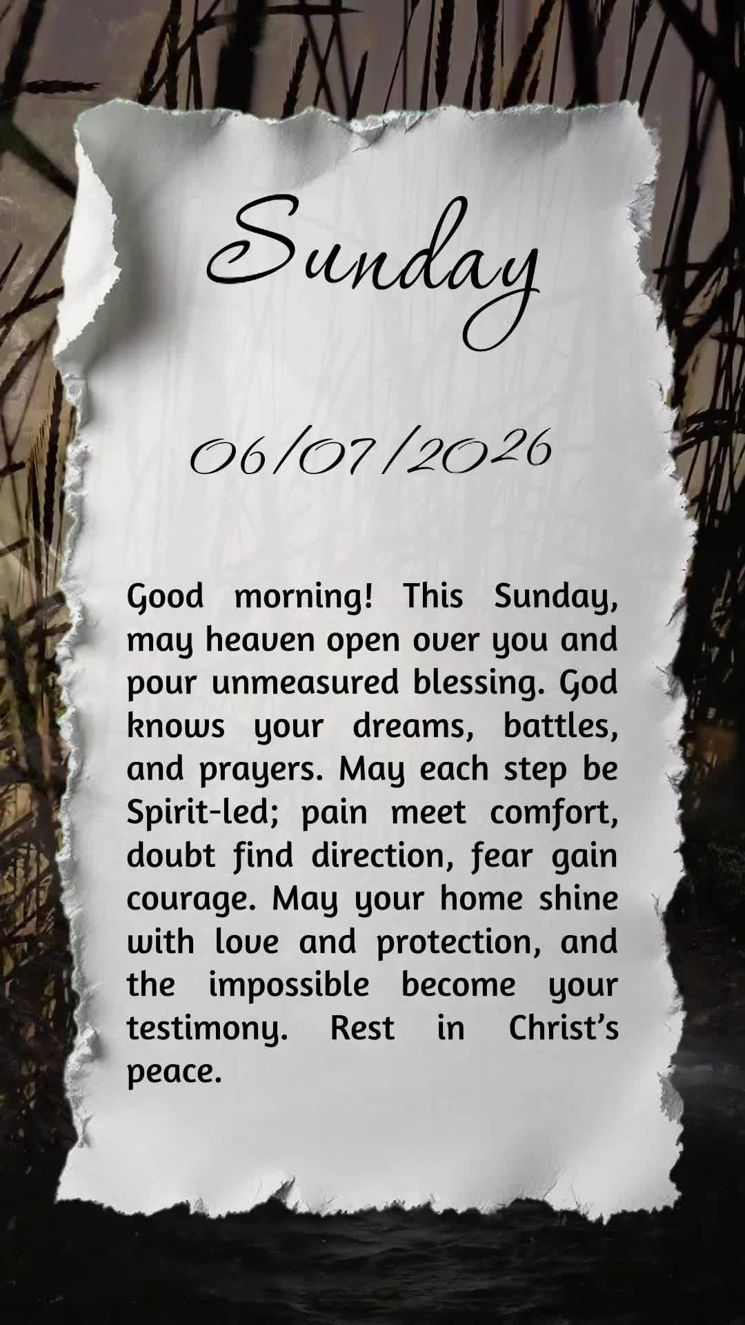 Bom dia! Neste Domingo do Senhor, que o céu se abra e derrame bênçãos sem medida. Deus conhece seus sonhos, lutas e orações. Que cada passo seja gu...