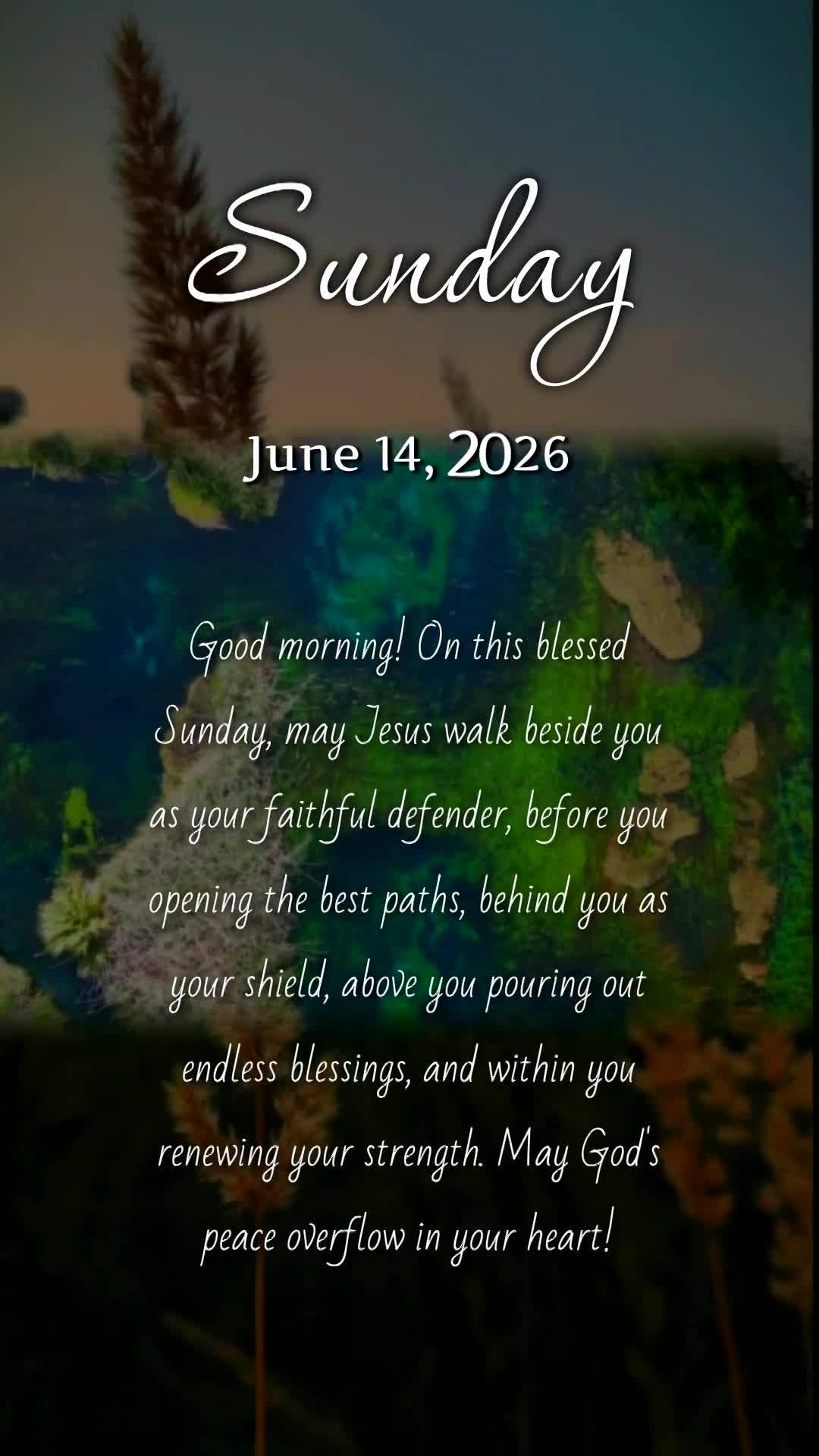 Bom dia! Neste domingo abençoado, que Jesus esteja ao teu lado como fiel defensor, à tua frente abrindo os melhores caminhos, atrás de ti como escudo,...