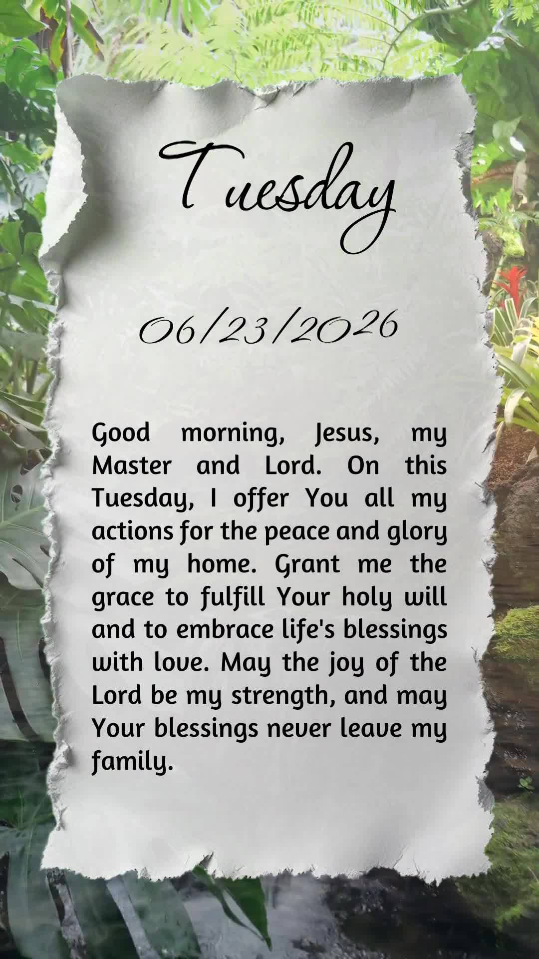 Bom dia, Jesus, meu Mestre e Senhor. Nesta terça-feira, ofereço-Te todas as minhas ações para a paz e a glória do meu lar. Concede-me cumprir Tua sa...