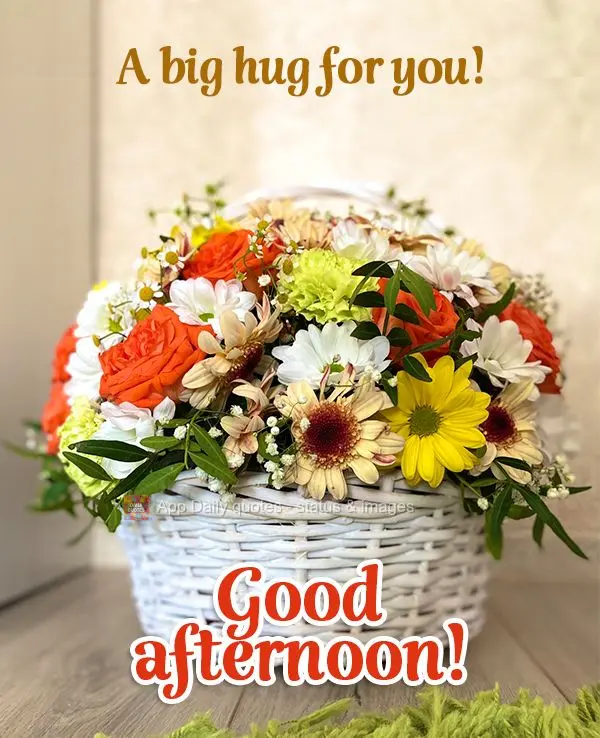 A big hug for you! Good afternoon!