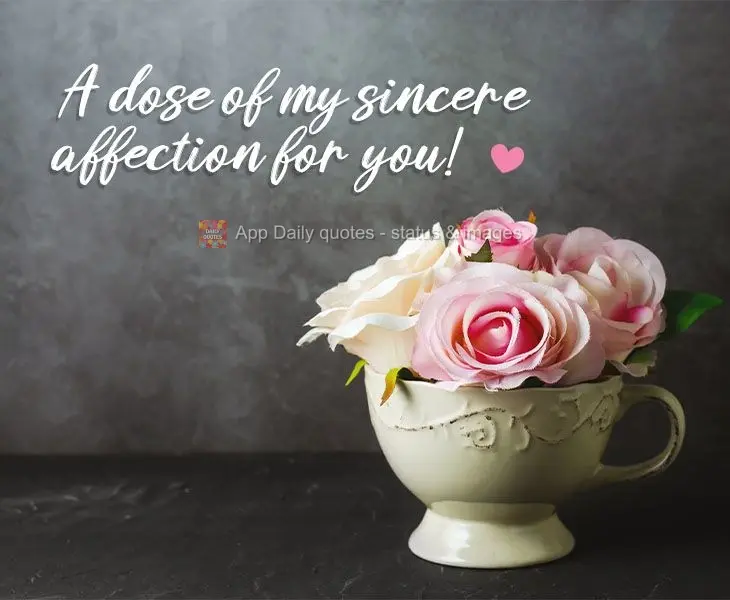 A dose of my sincere affection for you!
