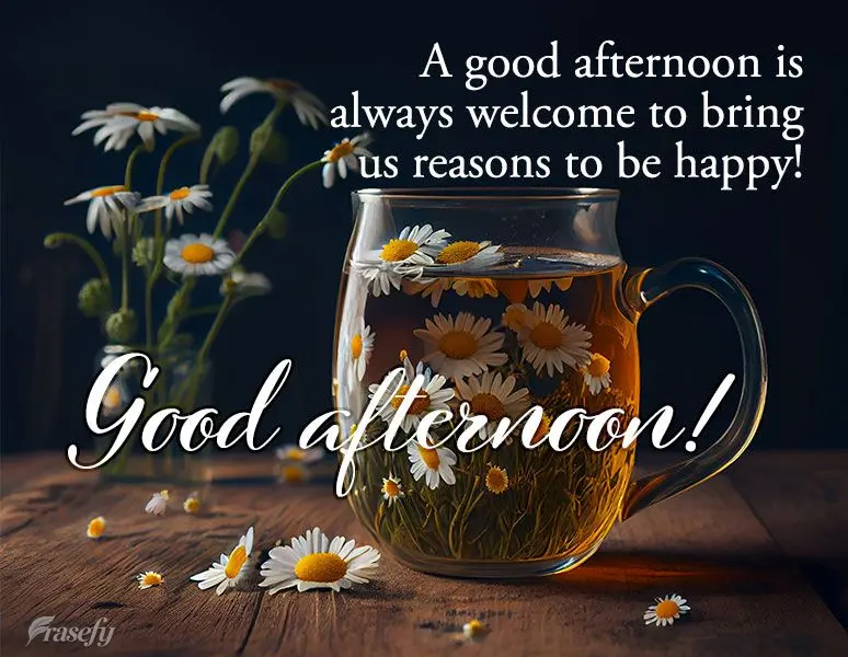 A good afternoon is always welcome to bring us reasons to be happy! Good afternoon!