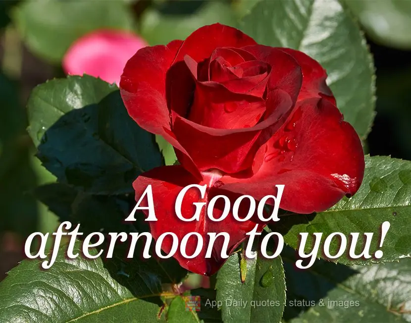 A Good afternoon to you!