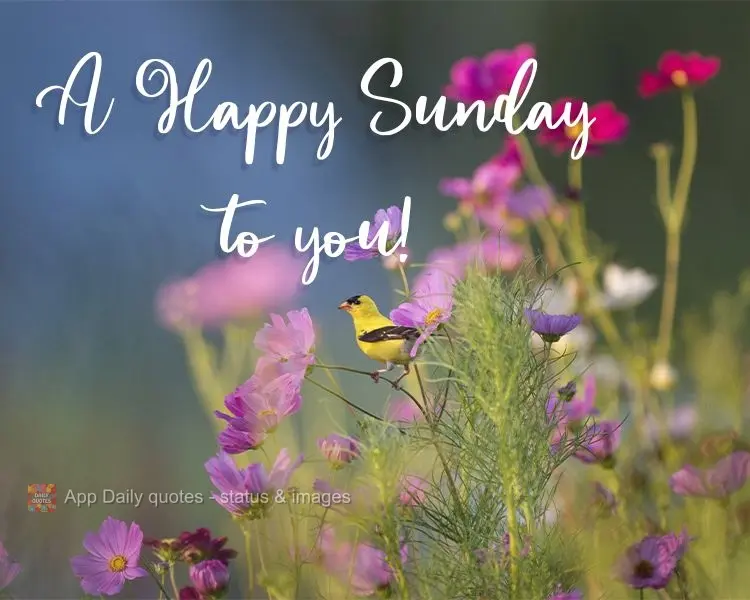 A Happy Sunday to you!