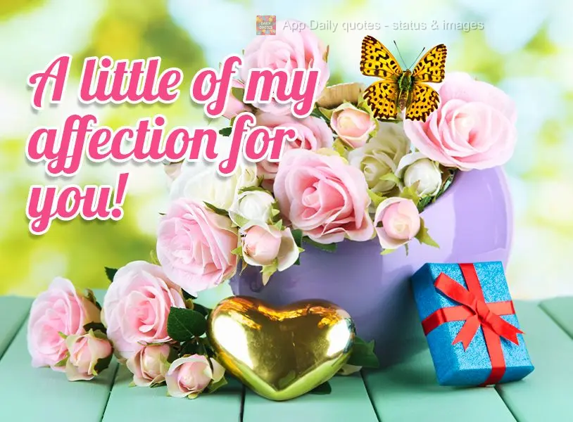 A little of my affection for you!