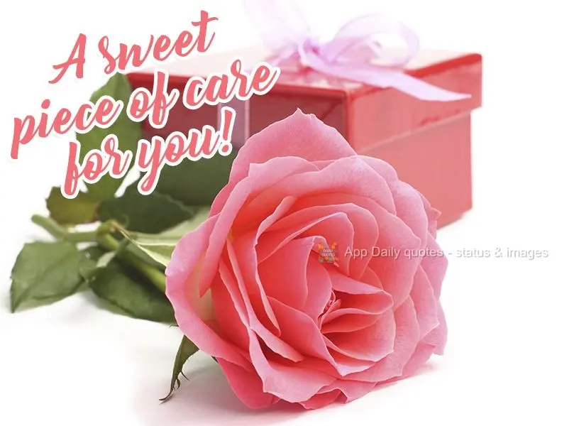 A sweet bit of affection for you! 
