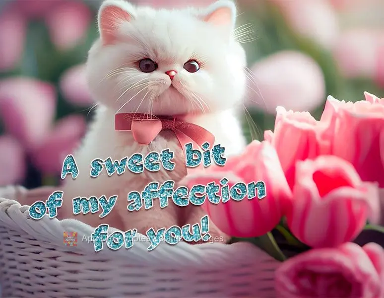 A sweet gesture of my affection for you!