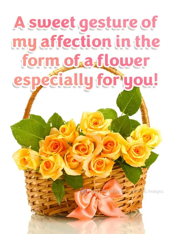 A sweet gesture of my affection in the form of a flower especially for you!