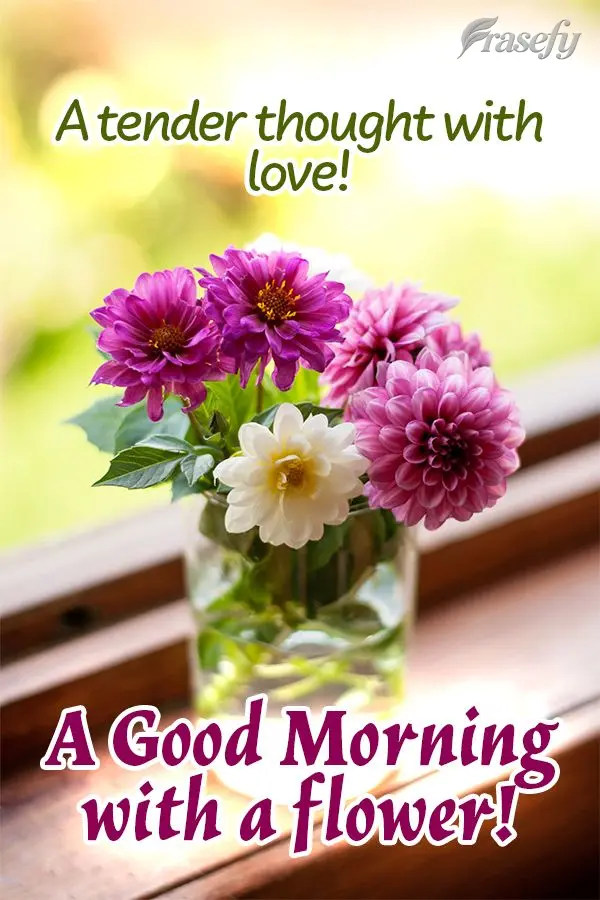 A tender thought with love! A Good Morning with a flower!