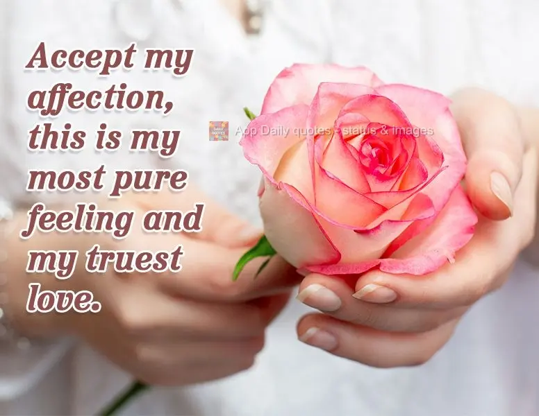 Accept my affection, this is my most pure feeling and my truest love.