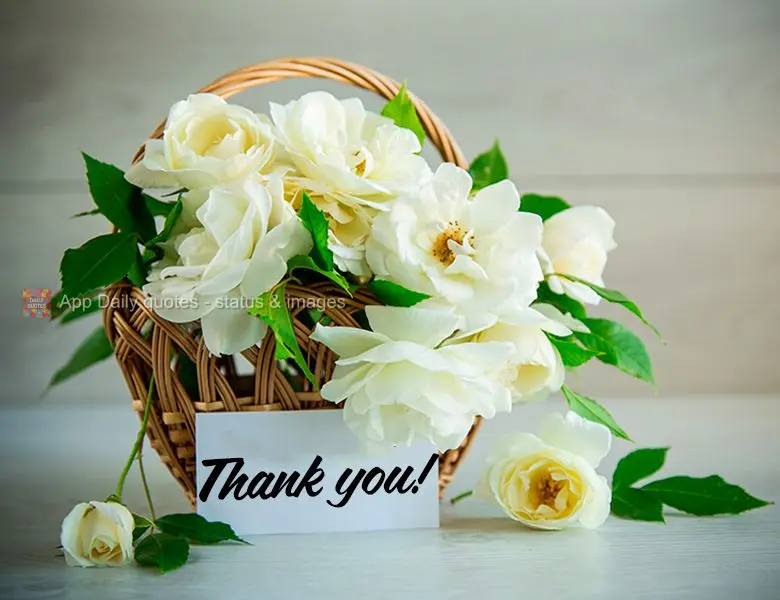 Thank you!