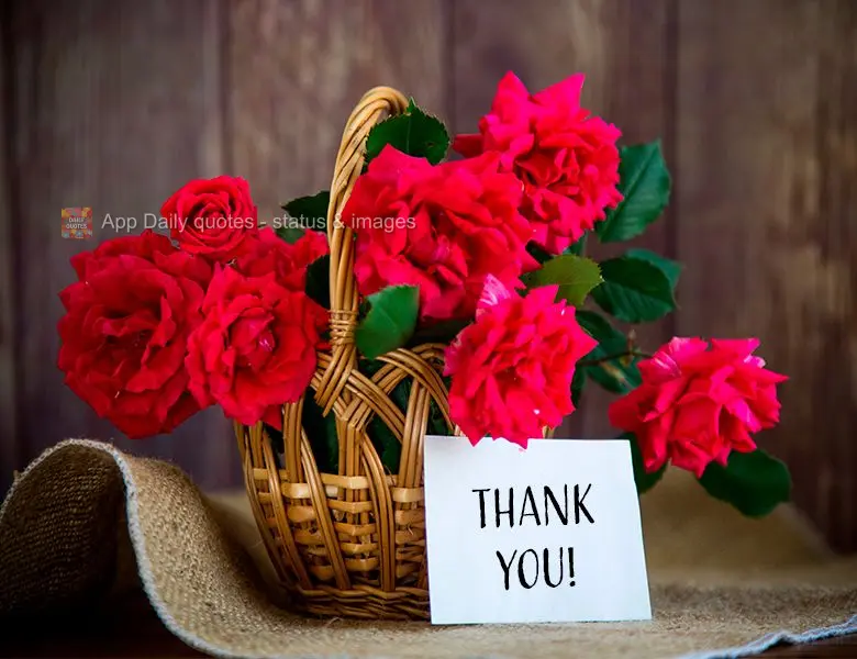 Thank you!