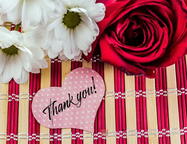 Thank you!