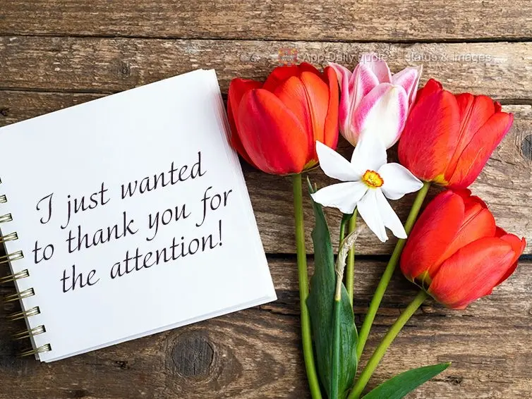I just wanted to thank you for the attention!