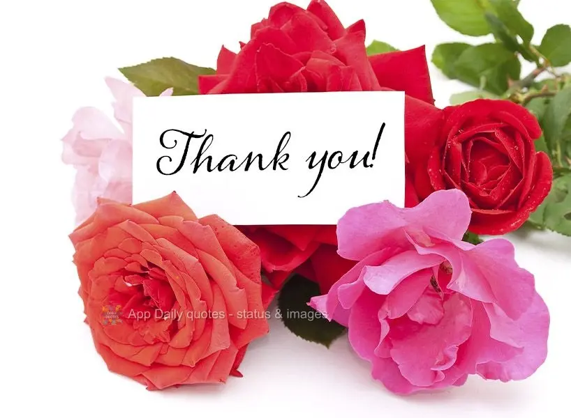 Thank you!