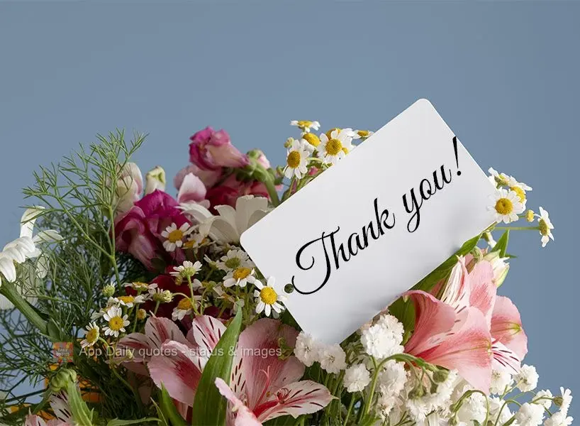 Thank you!