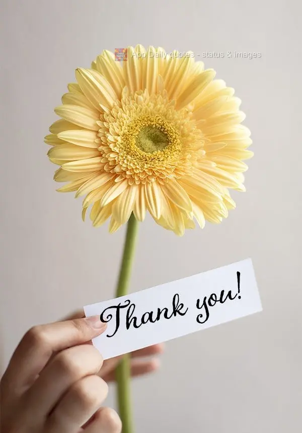 Thank you!