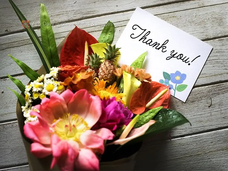 Thank you!