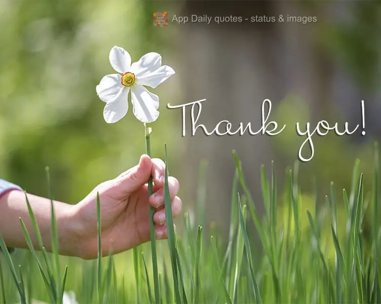 Thank you!