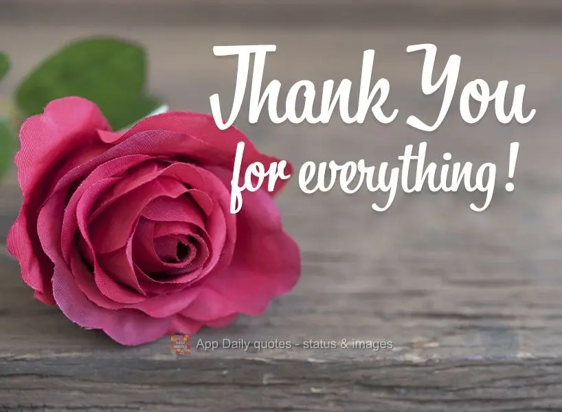 Thank you for everything!