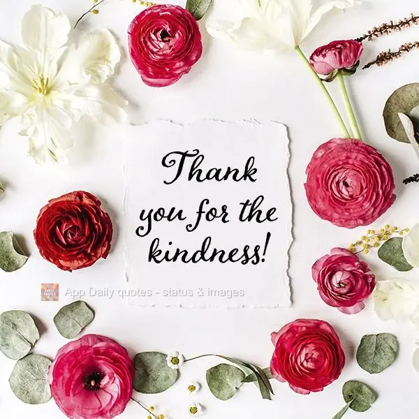 Thank you for your kindness!