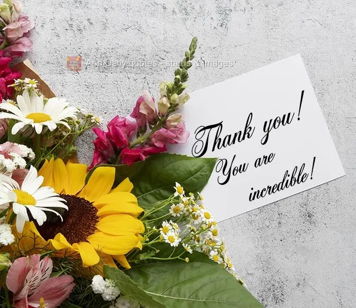 Thank you! You are incredible!