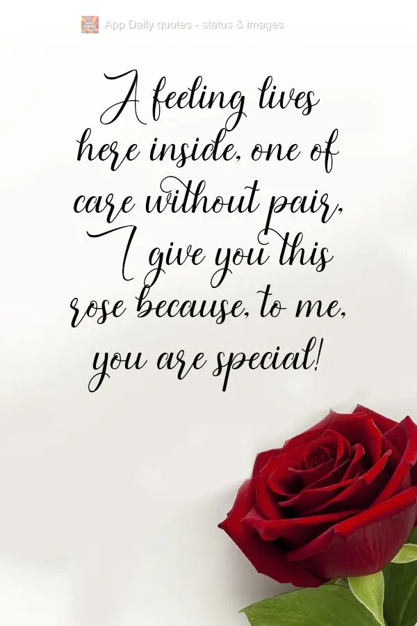 A feeling lives inside of me, one of care without equal. I give you this rose because, to me, you are special! 