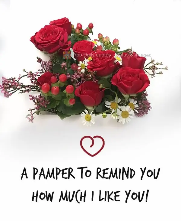 A little luxury to remind you how much I like you!