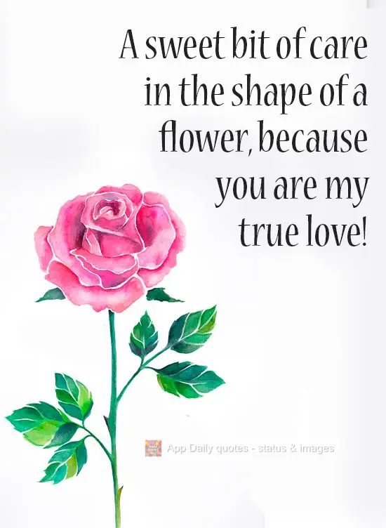 A sweet bit of care in the shape of a flower, because you are my true love!